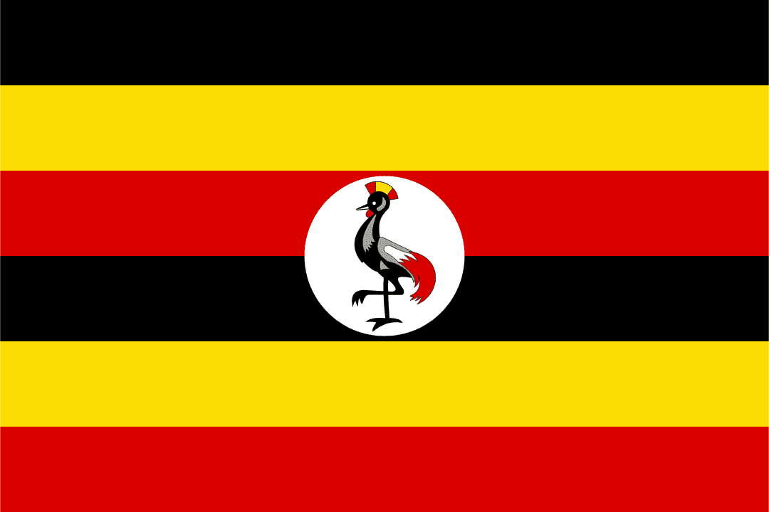 Infolytics Zoho Uganda
